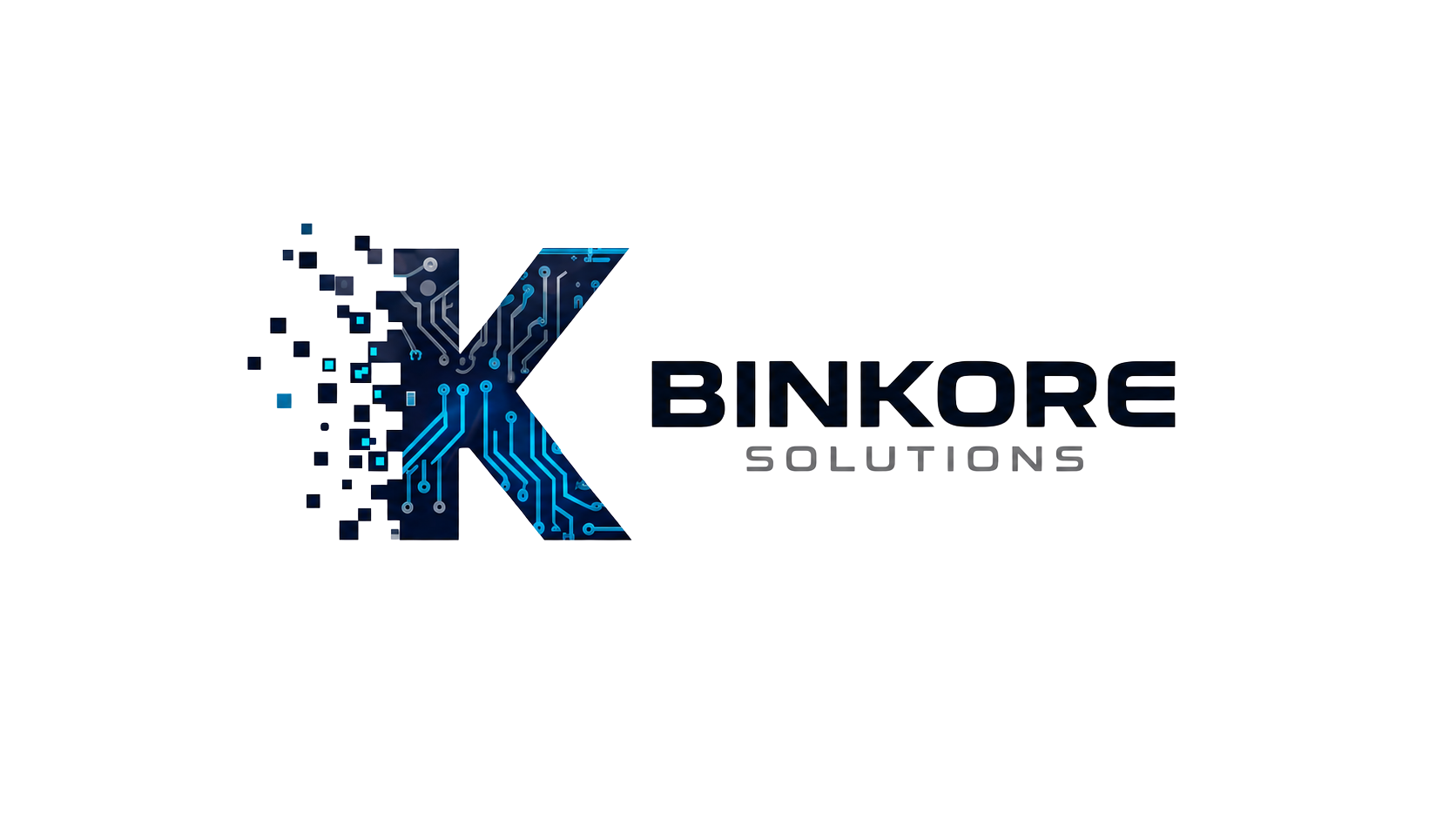 Binkore Solutions Logo Original